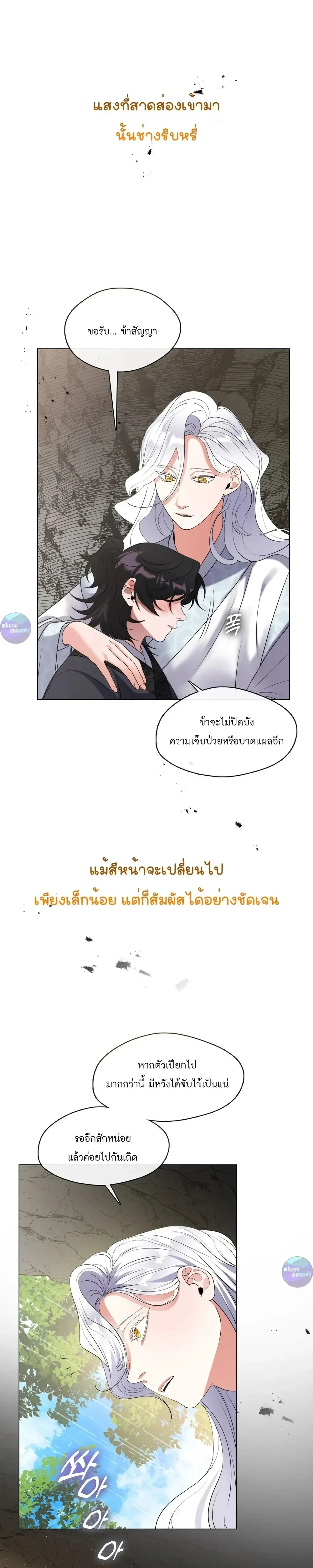หน้าที่ 13