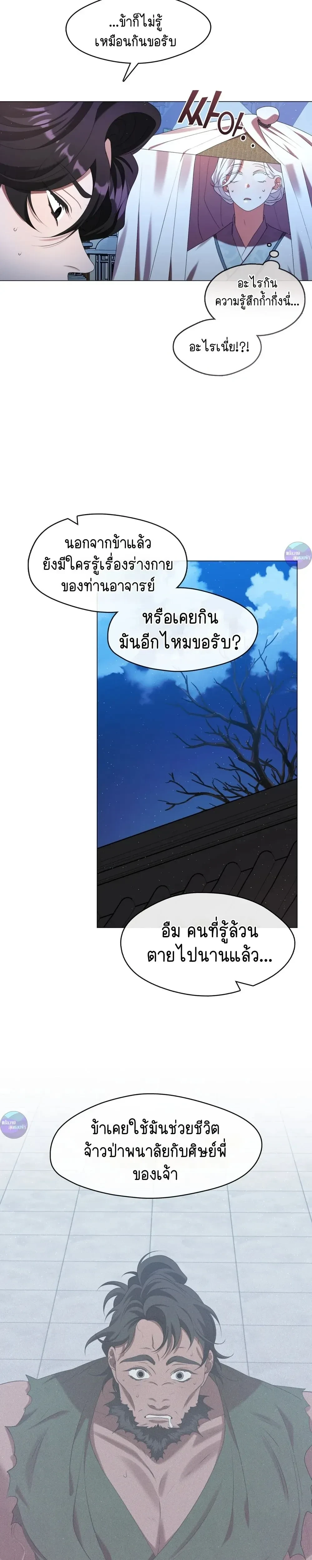 หน้าที่ 13