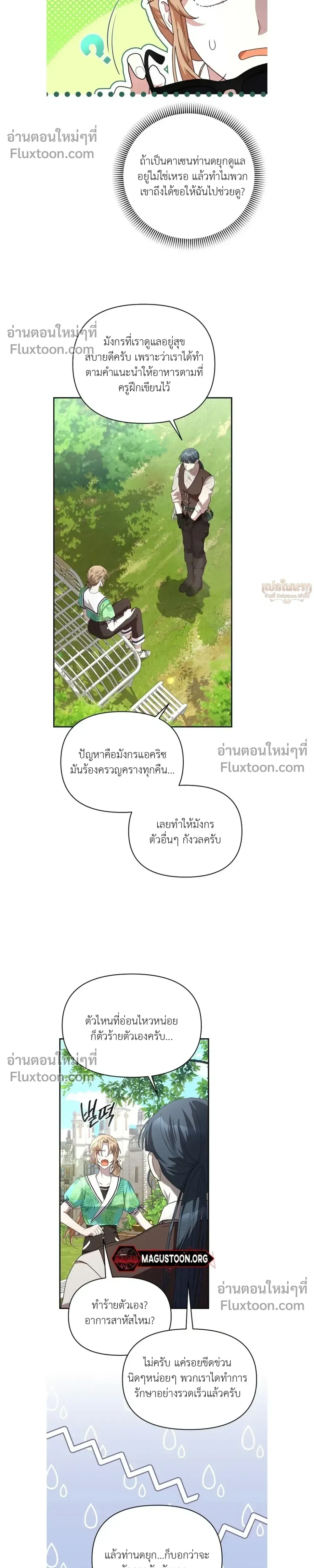หน้าที่ 13