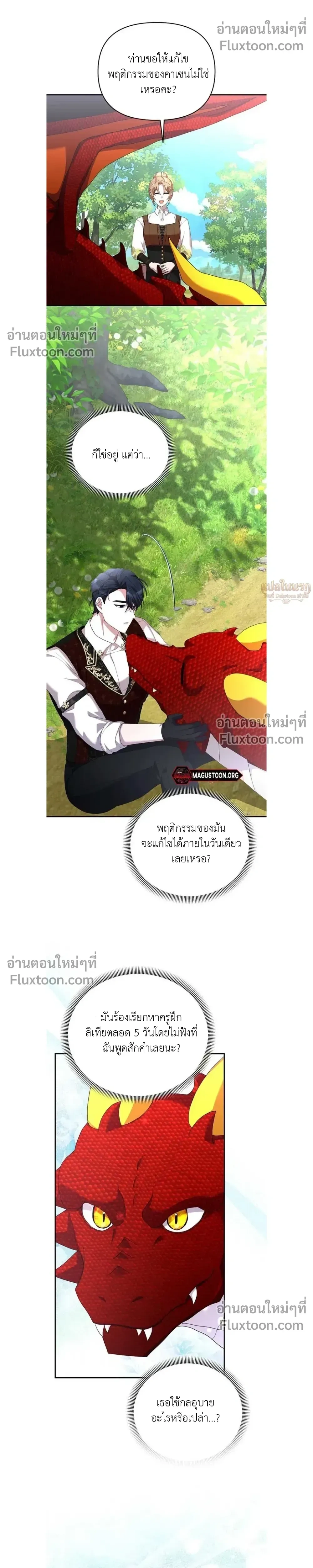 หน้าที่ 13