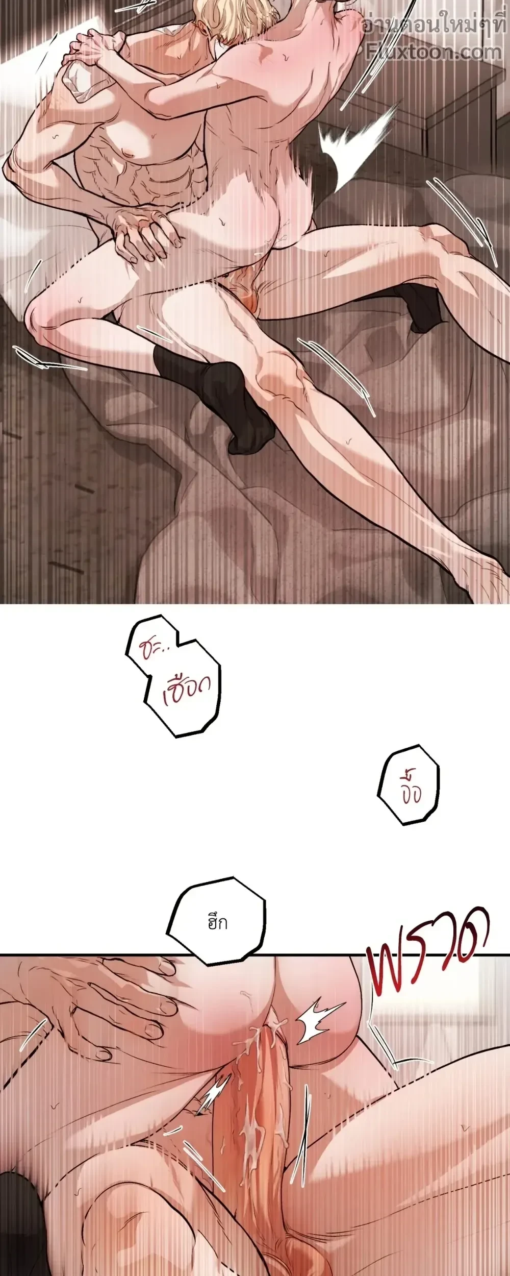 หน้าที่ 11