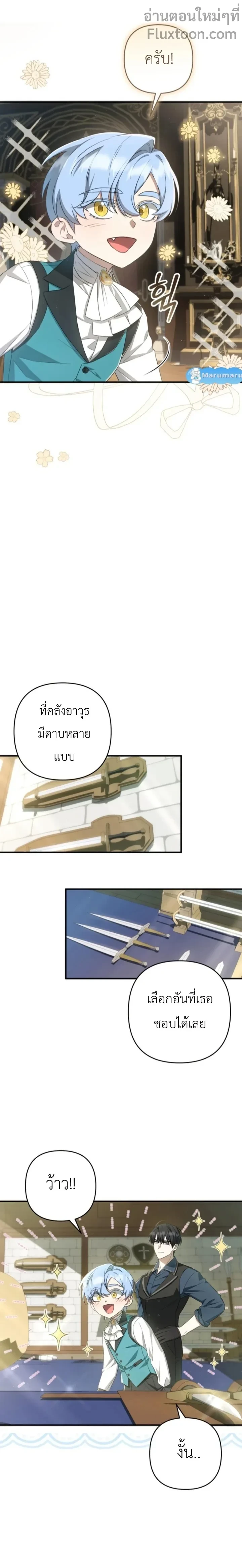 หน้าที่ 13