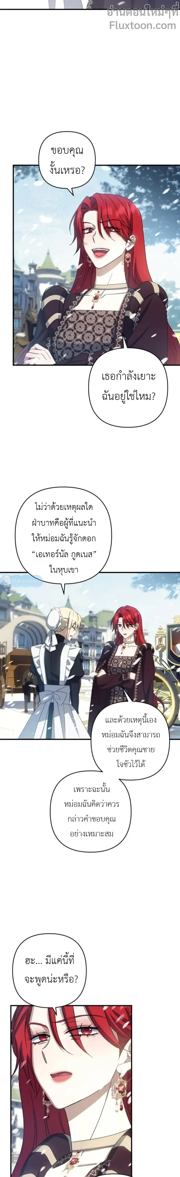 หน้าที่ 13