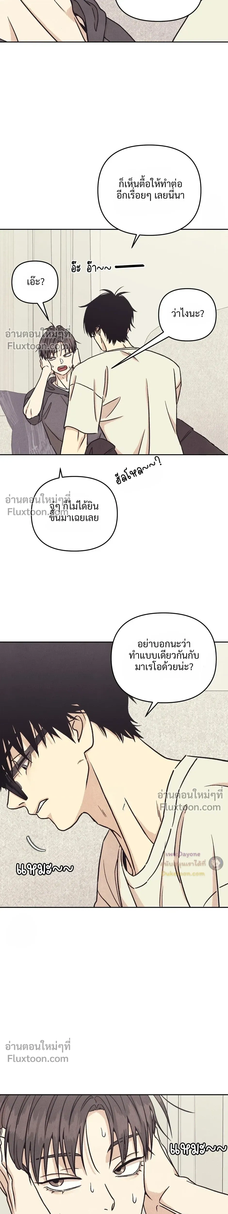 หน้าที่ 17