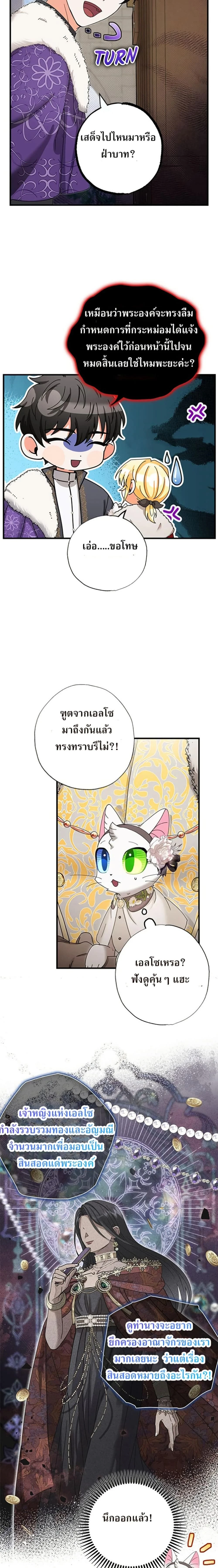 หน้าที่ 17