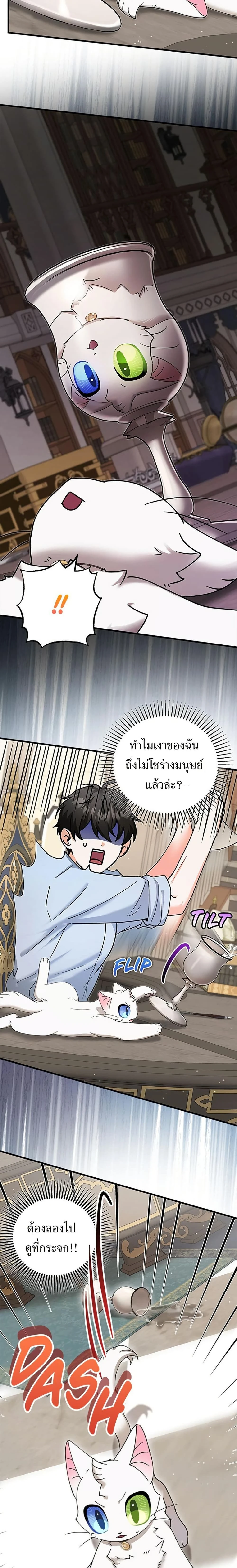หน้าที่ 11