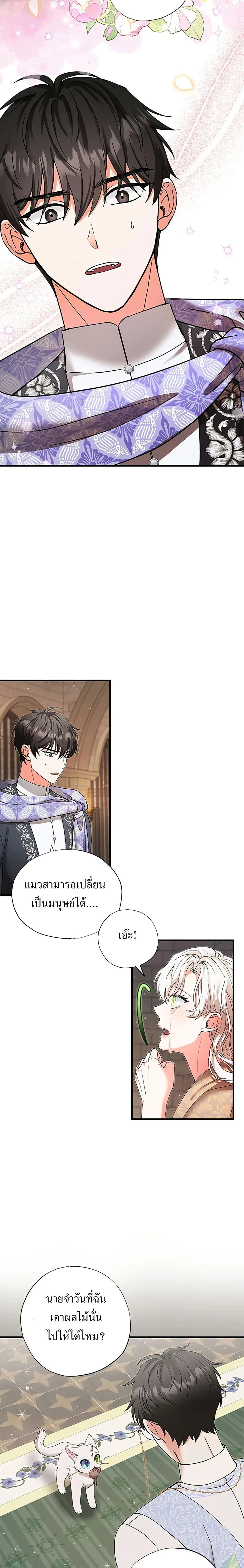 หน้าที่ 17