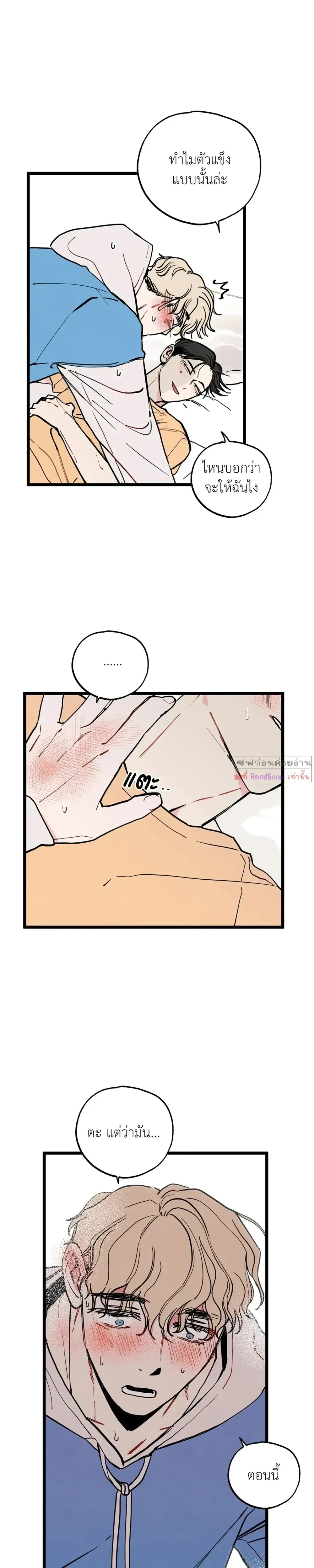 หน้าที่ 17