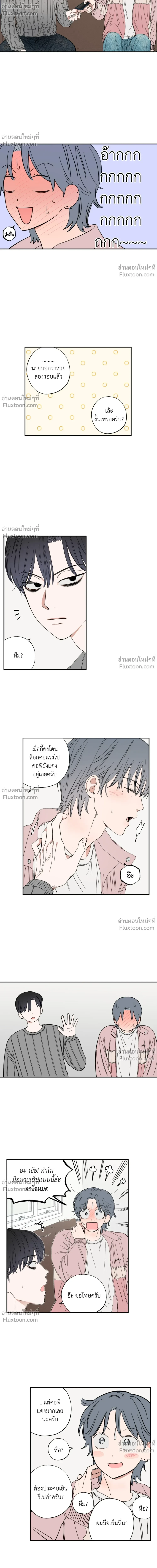 หน้าที่ 12