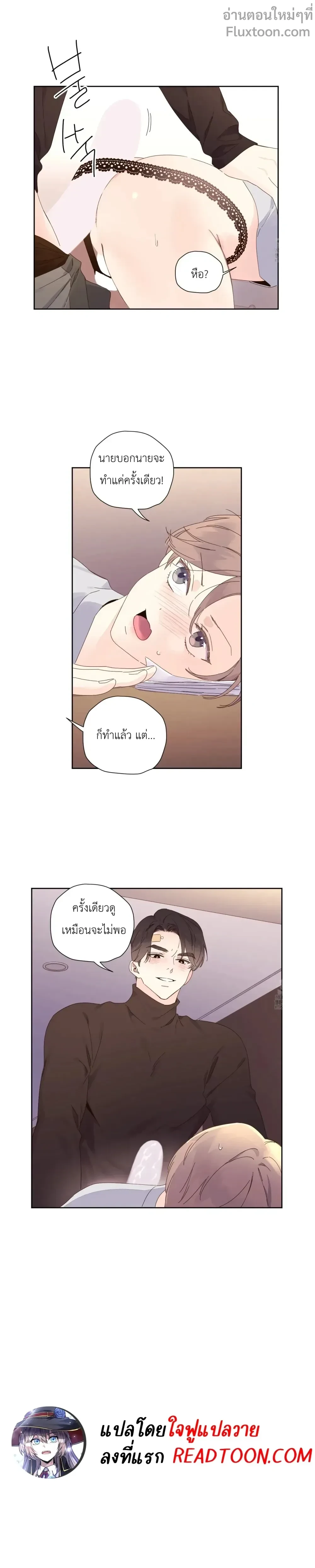 หน้าที่ 11
