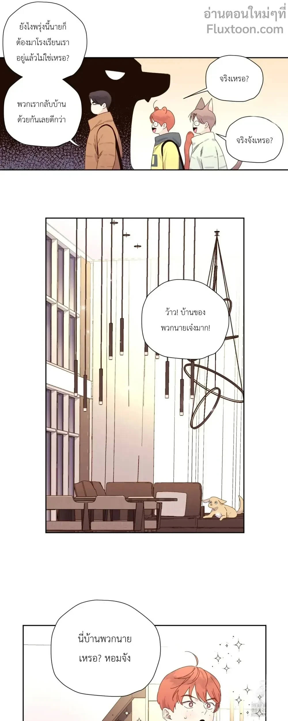 หน้าที่ 11