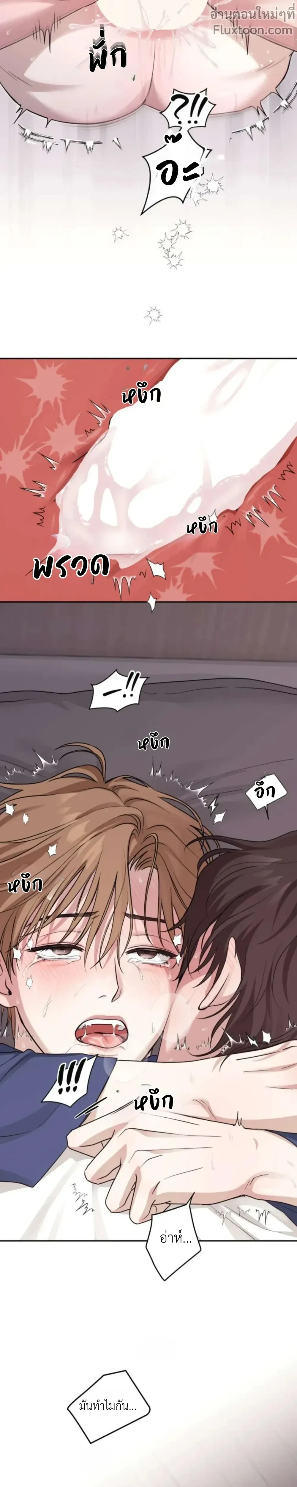 หน้าที่ 11