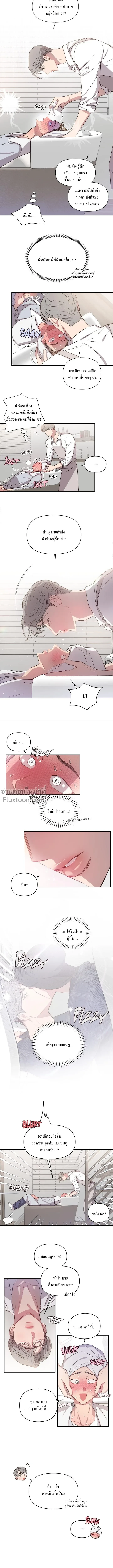 หน้าที่ 8