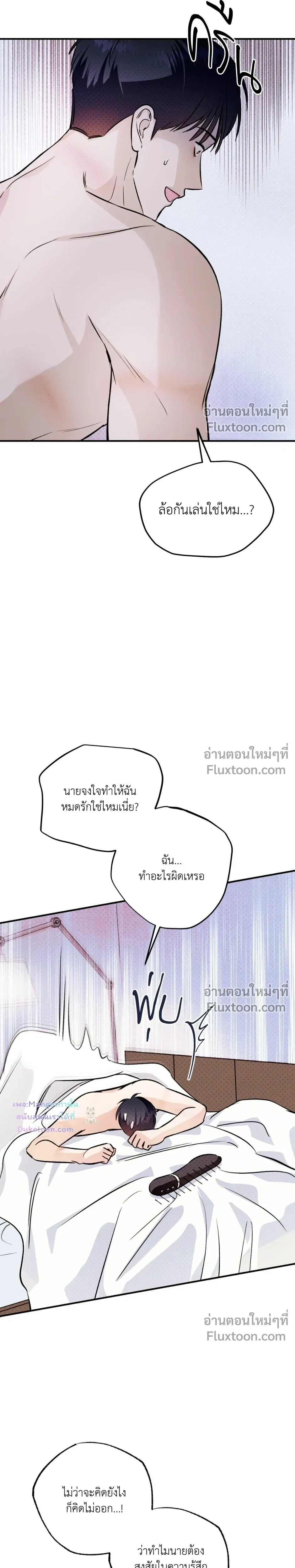 หน้าที่ 13