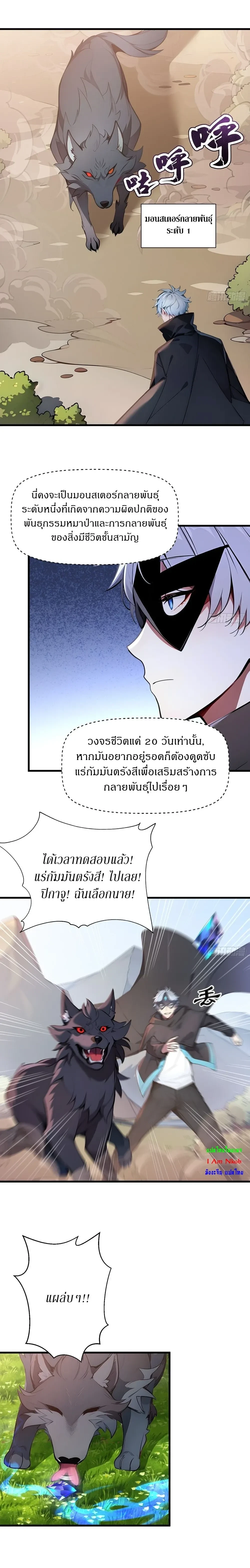 หน้าที่ 3