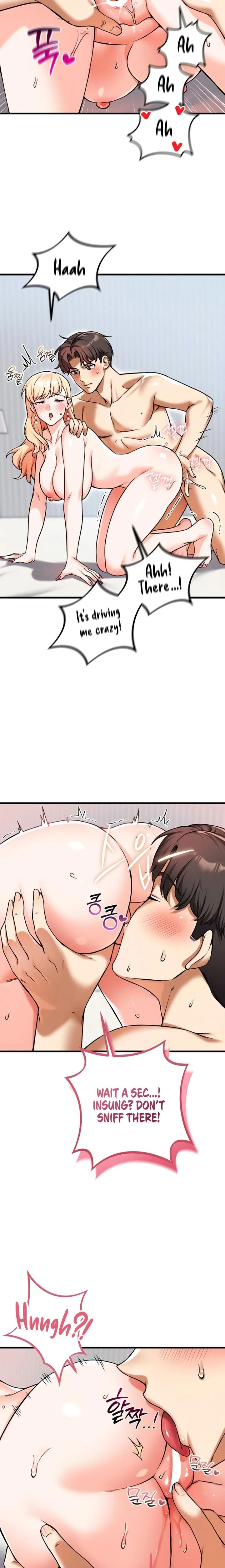 หน้าที่ 17