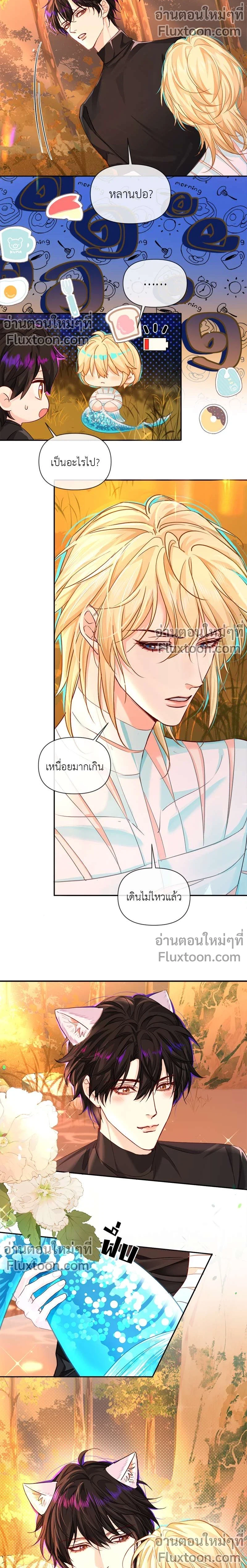 หน้าที่ 5