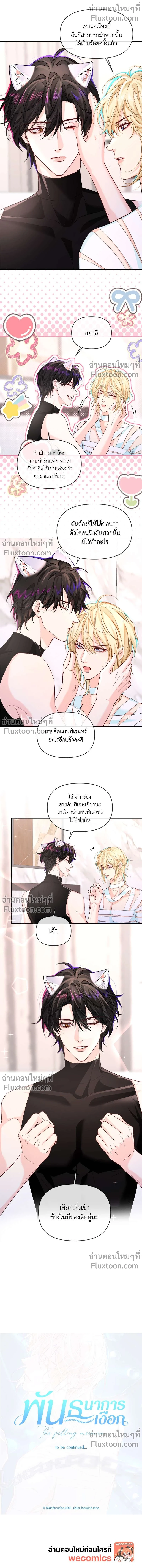 หน้าที่ 8