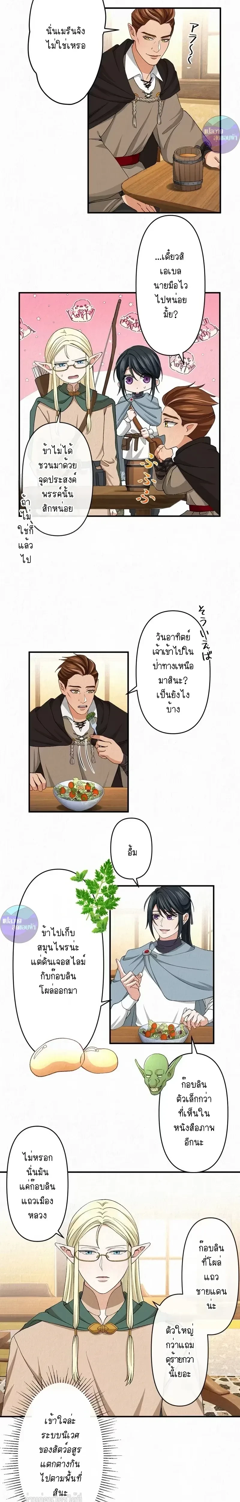 หน้าที่ 3