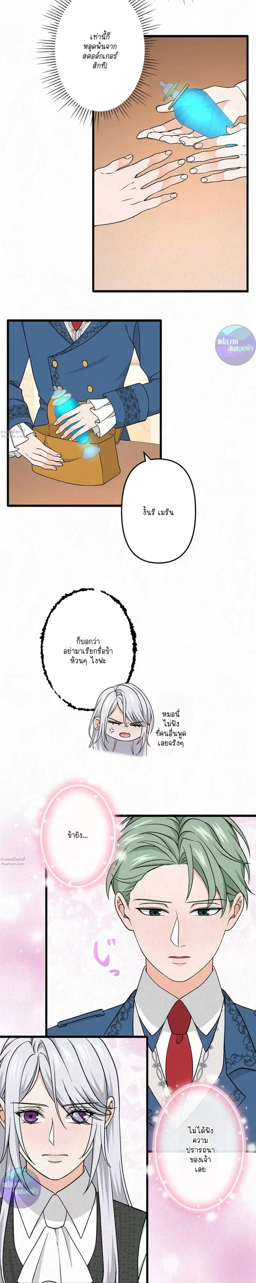 หน้าที่ 13