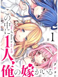 ปกมังงะ Kono Naka ni Hitori, Ore no Yome ga Iru - หนึ่งในนี้คือภรรยาของผม