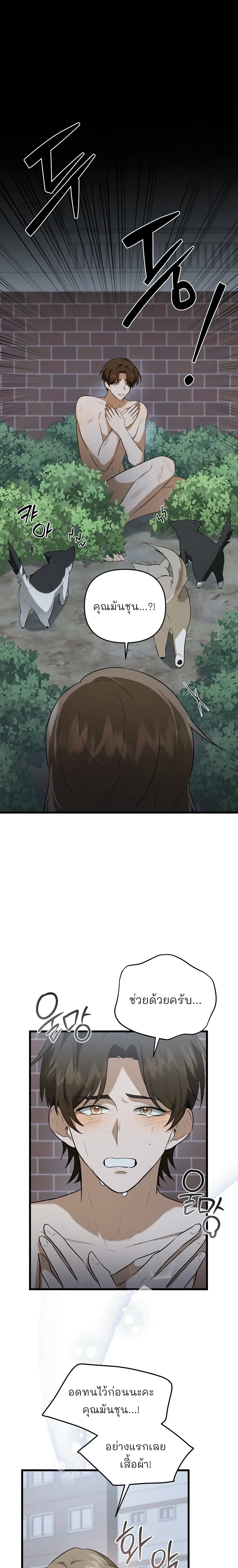 หน้าที่ 1