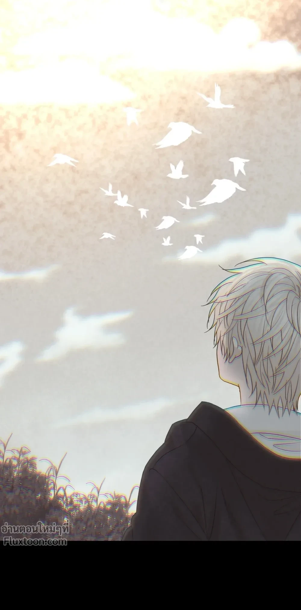 หน้าที่ 11