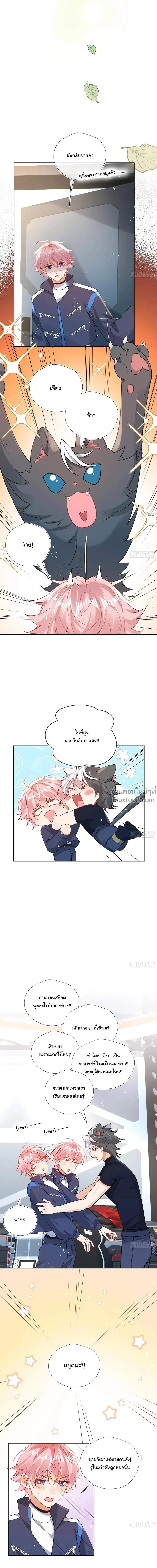 หน้าที่ 10