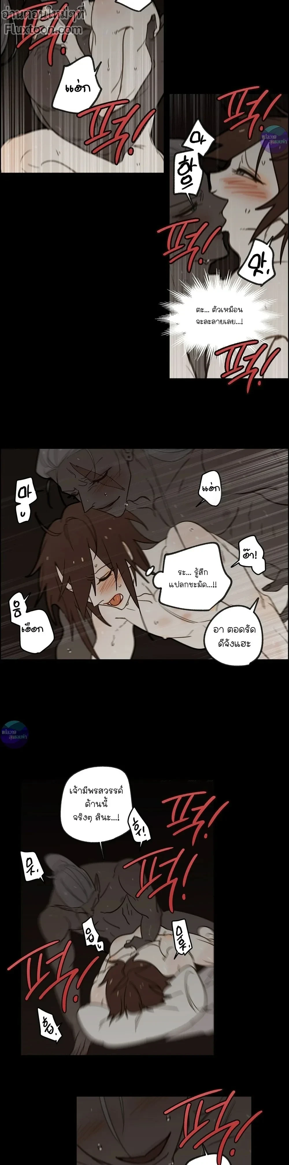 หน้าที่ 13