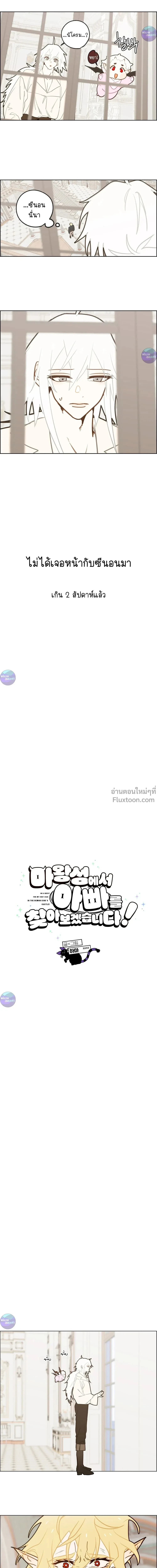 หน้าที่ 3