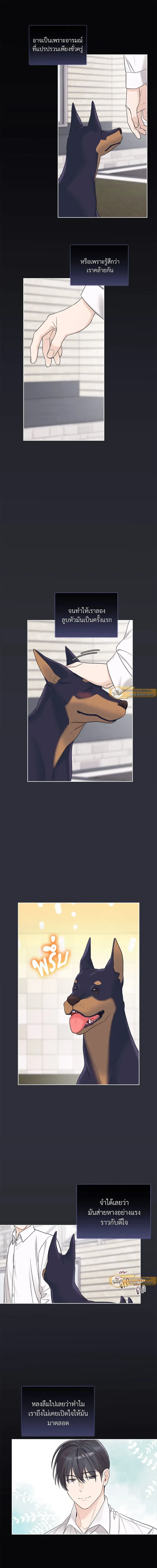 หน้าที่ 6