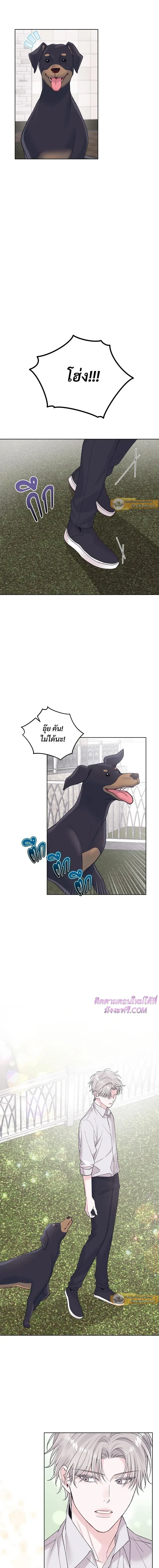 หน้าที่ 4