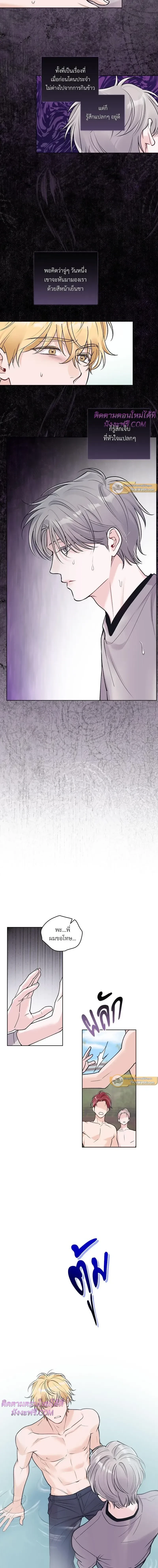 หน้าที่ 11