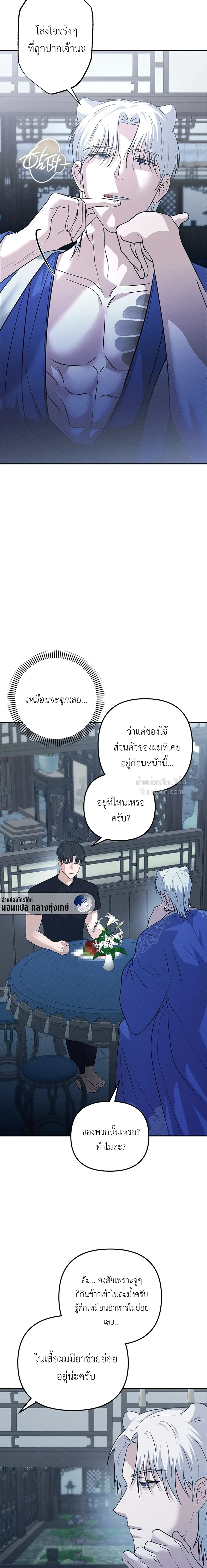 หน้าที่ 17