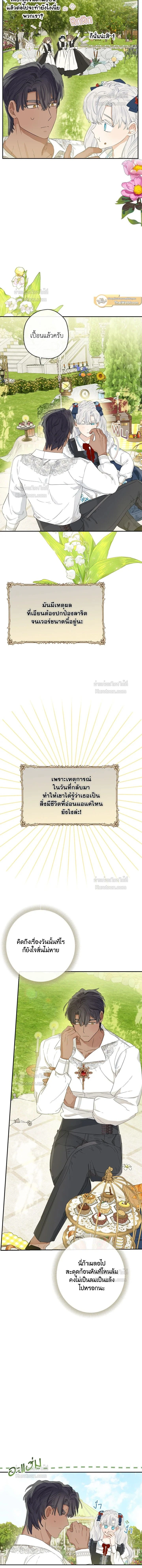 หน้าที่ 11