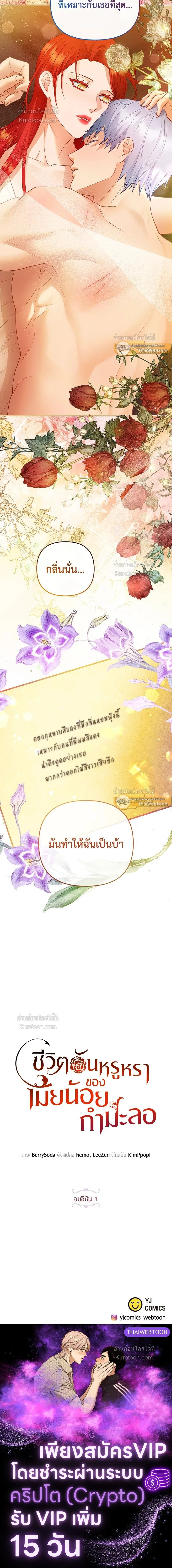 หน้าที่ 17