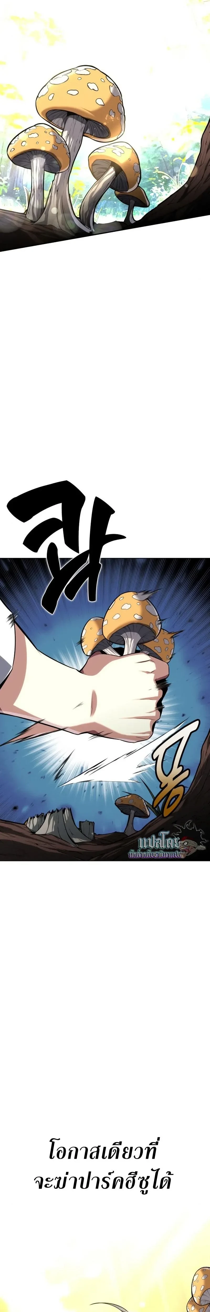 หน้าที่ 33