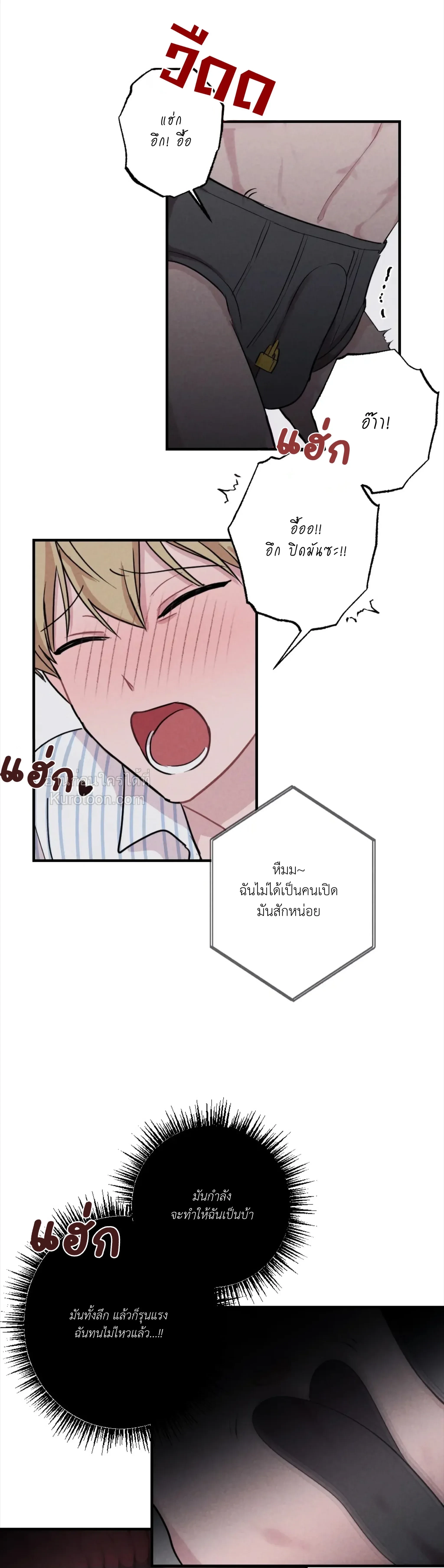 หน้าที่ 13