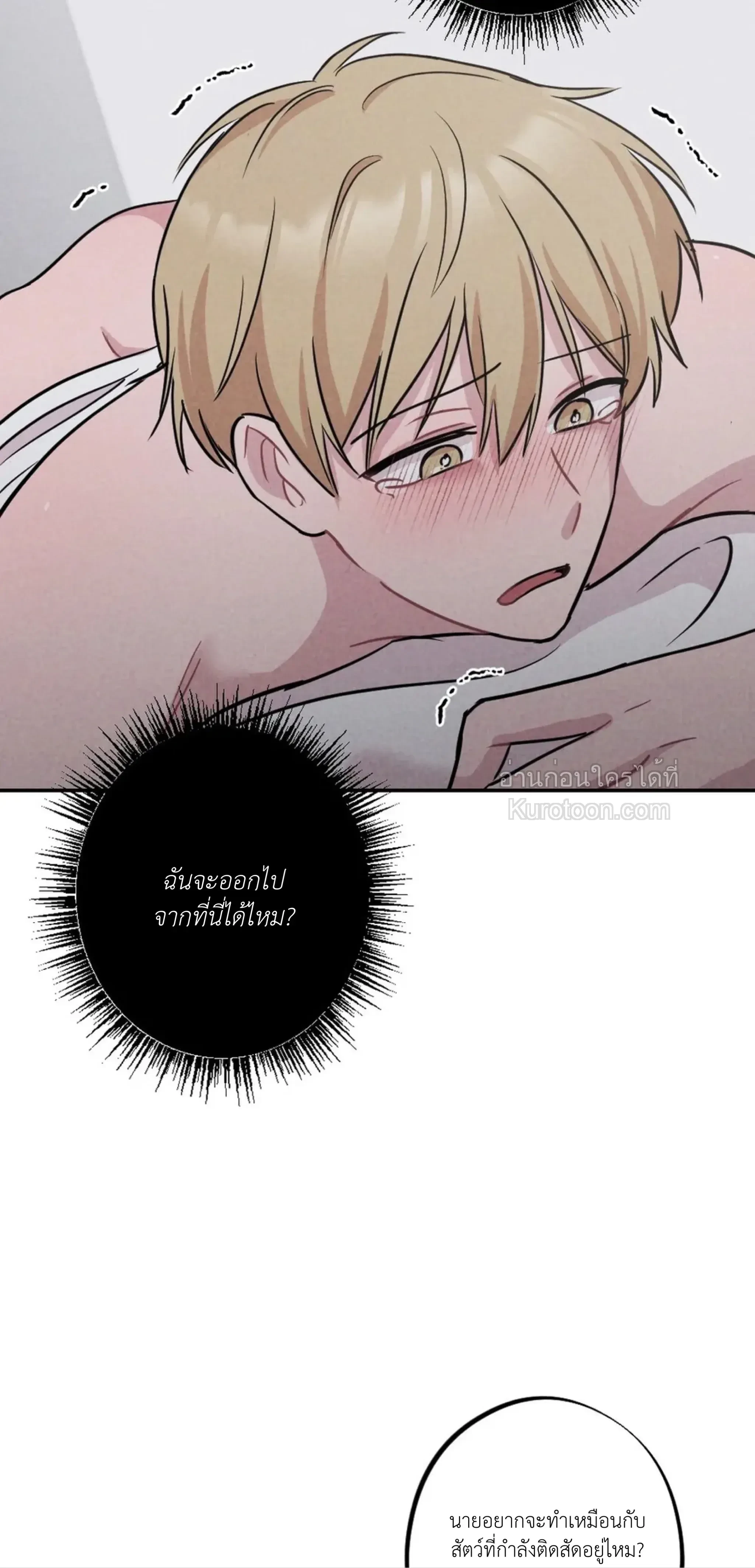 หน้าที่ 29