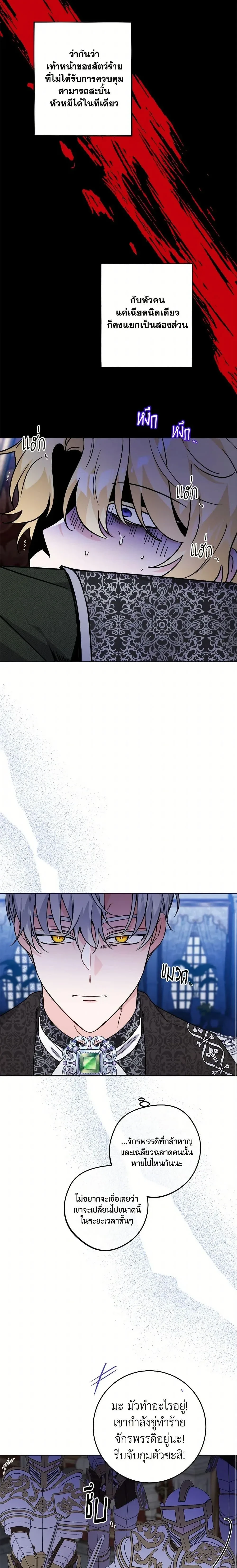 หน้าที่ 11