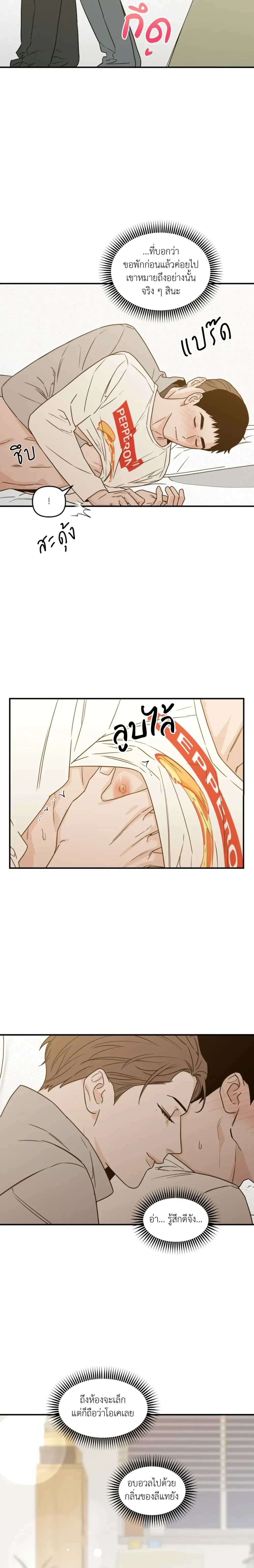 หน้าที่ 13