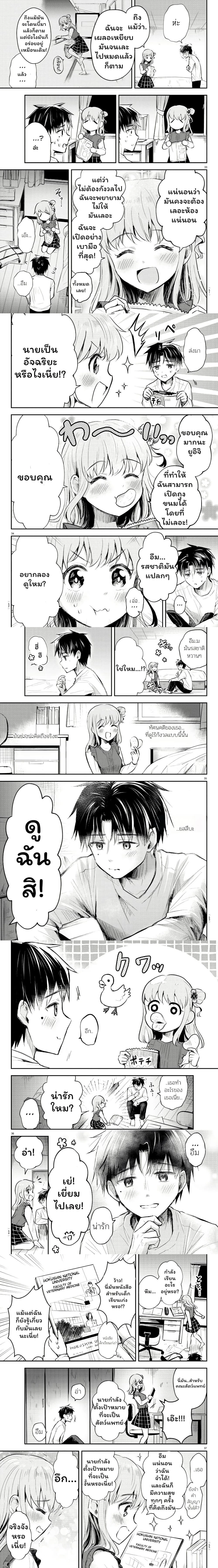 หน้าที่ 8