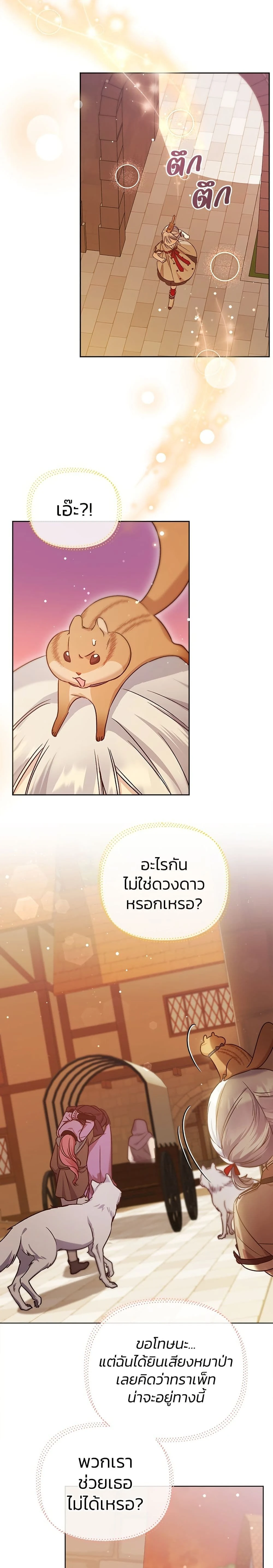 หน้าที่ 17