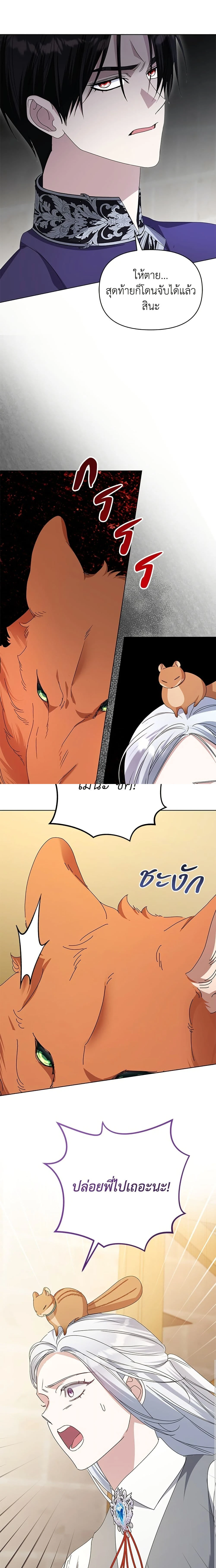 หน้าที่ 14