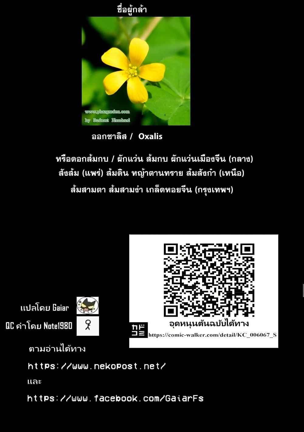 หน้าที่ 5