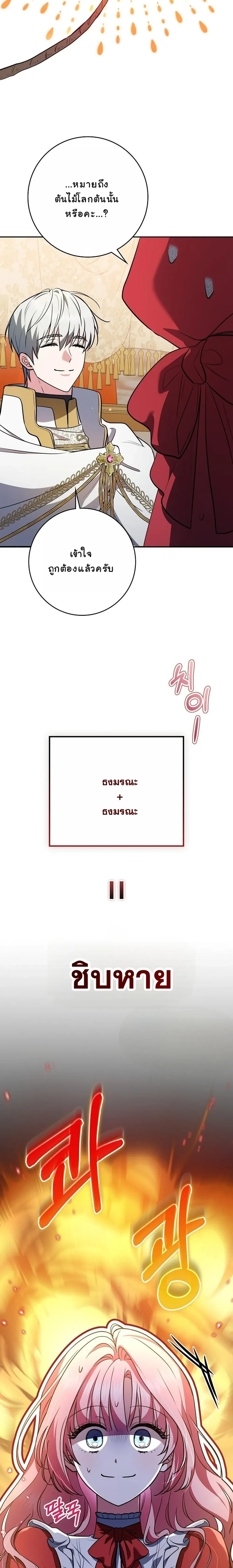 หน้าที่ 28