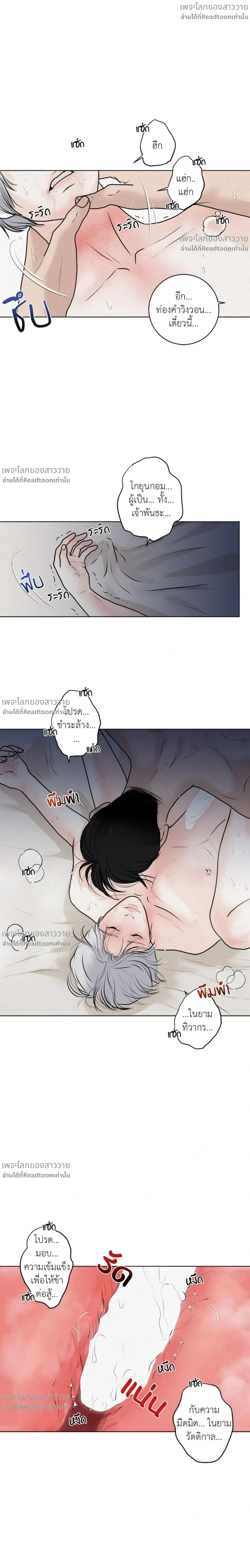 หน้าที่ 13