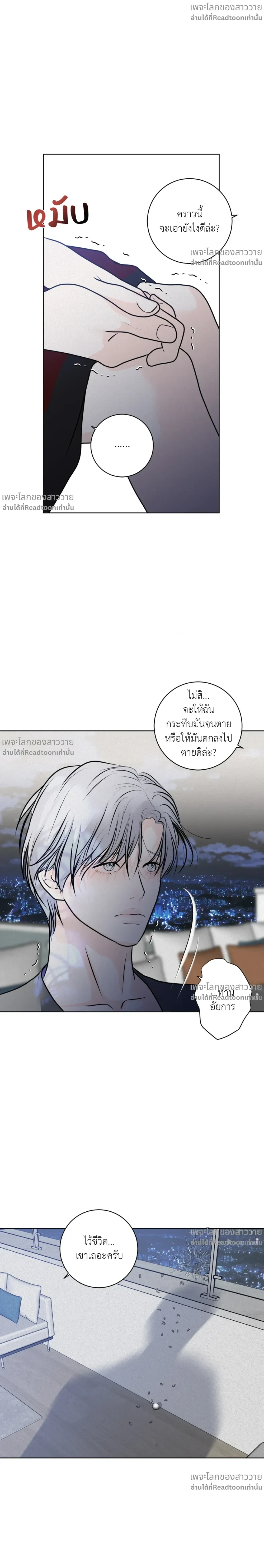 หน้าที่ 11