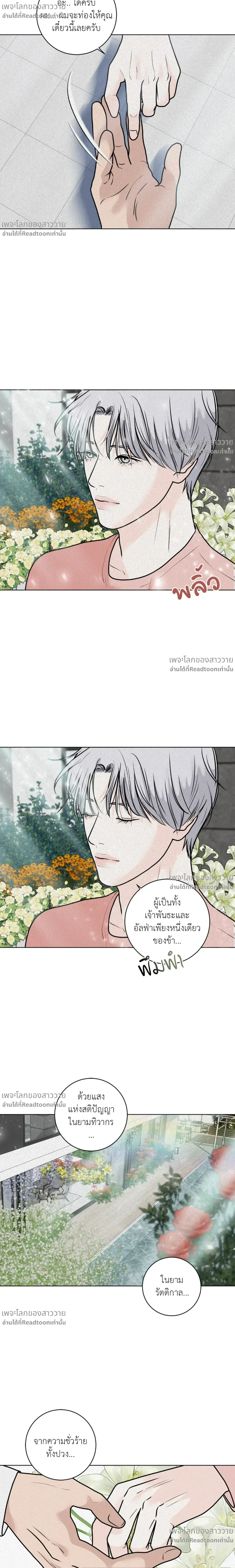 หน้าที่ 17