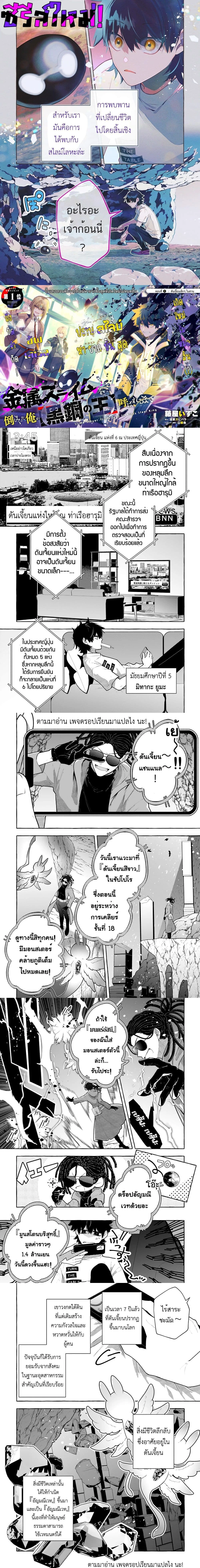 หน้าที่ 1